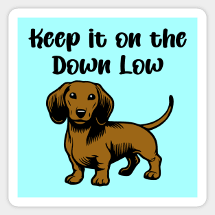 Keep It On The Down Low Sticker